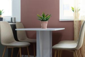 Dahlia Blooming Studio