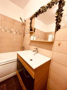 Cluj City Vivo Apartament Ametist