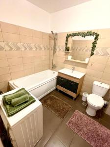 Cluj City Vivo Apartament Ametist