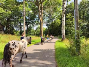 Ferienwohnung Erlebnisfarm John