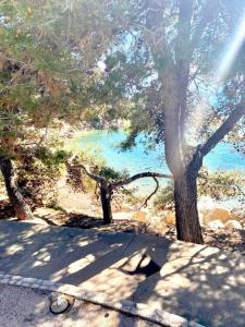 Suha Punta LUXURY apartments first row to the sea 
