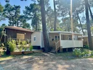 La cabane des pins - Claouey