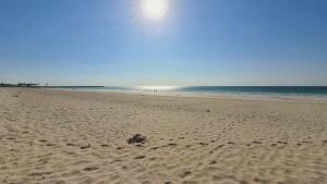 Jozefina Riviera Hawana Salalah