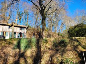 Maisons de vacances Gite du Mouliot : photos des chambres