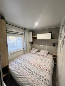 La cabane des pins
