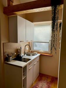 Residenz zu Caub - Pfalzgrafenstein Appartment