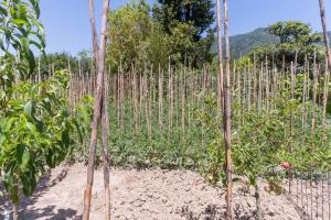 Antico Podere La Polletta