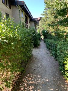Appartements Agreable T2 en rez de jardin a 2 pas du plan d'eau : photos des chambres