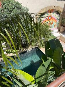 Maisons de vacances La Maison du Trident en Camargue Piscine et Jacuzzi : photos des chambres