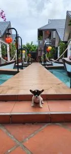 Coco Bungalows Hoi An - Hà Bàng