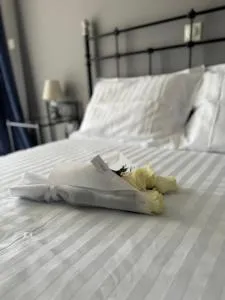 WINDSOR PLACE - Large Private Apartment, Sleeps Up To 7 - 武利亚格迈尼