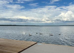 Grand Holm Marina Ujuvmajad