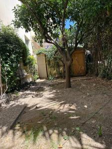 2P Palm Beach avec jardin et terrasse