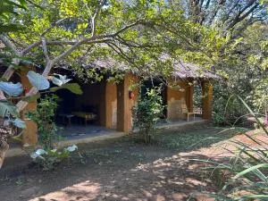 Kamp Kamouflage Kanha - Dhanwār