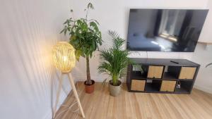 Appartements Entiers - Centre de Tournai