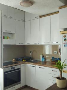 Apartment Miki