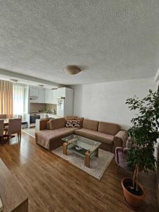 Apartment Miki