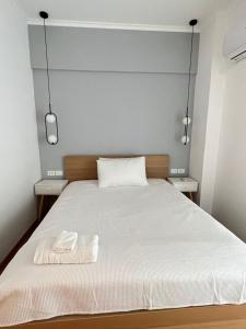 Embassy Apartment - B2