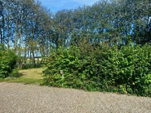 LilleLandsted