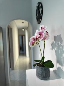 Redamancy -- PERI009