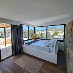 Luxury Penthouse Suite - Vári