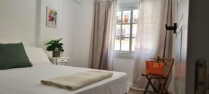 Family Centro Málaga