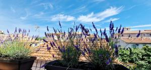 4 Le Saint Joseph City Center with AC