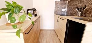 4 Le Saint Joseph City Center with AC