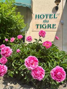 Hotels Cit'Hotel du Tigre : photos des chambres