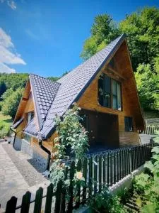 Cabana A Brezoi - 布雷佐伊