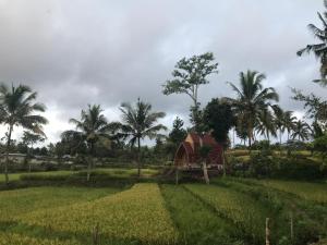 Lombok Ethnic Bungalows