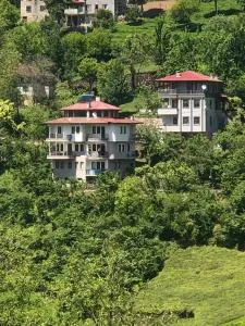 Kelesoğlu Apart - 乌宗