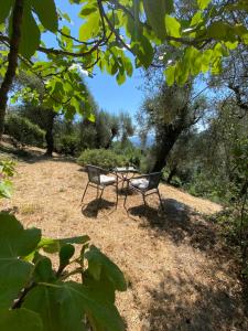 Appartements Le Mas Sainte Therese : photos des chambres