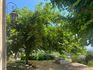 Appartements Le Mas Sainte Therese : photos des chambres