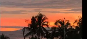 Daily Travellers Inn & Suites - Tocdoc