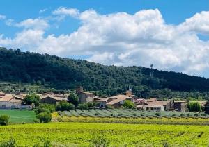Maisons de vacances Superbe maison de village et sa terrasse panoramique : photos des chambres