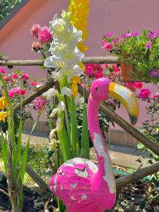 Agriturismo Arcobaleno Assisi