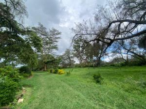 My Lily Cottage Naivasha