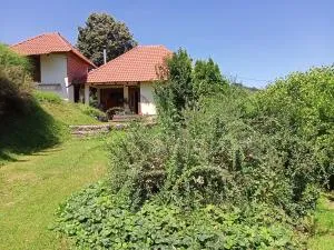 Apartman Marković - Ivanjica