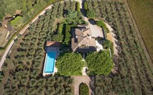 Villa Castiglione 14