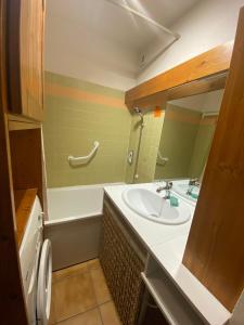 Appartements Appartement avec balcon a Praz-sur-Arly 40 m² vue montagne : photos des chambres