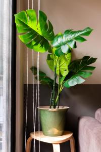 Nuevo y Super departamento con Gran Ubicacion