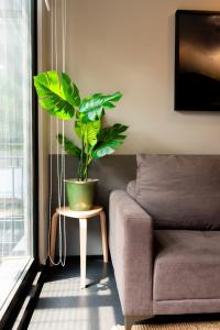 Nuevo y Super departamento con Gran Ubicacion