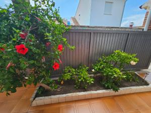 Casa de playa en Oliva al lado del MET y Campo de Golf