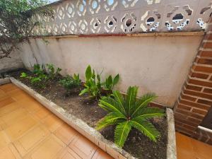 Casa de playa en Oliva al lado del MET y Campo de Golf