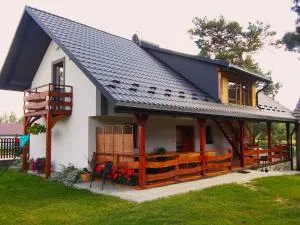 Krzywa sosna - Susiec