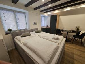 Apartmani Schega