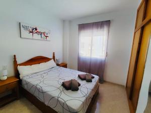 Appartement Playa Del Cura