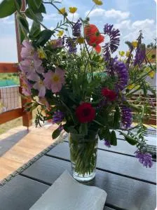 Casuta MARI - Niuved