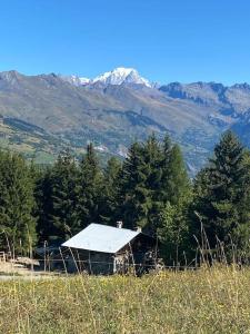 Appartements La Plagne, Montchavin, les Coches : photos des chambres